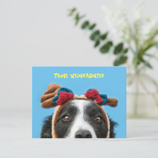 Lustiger Border Collie wishes merry Christmas Postcard