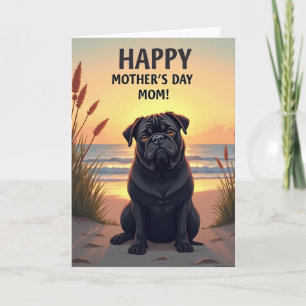 Lustrous Pup Sunset Beach Card