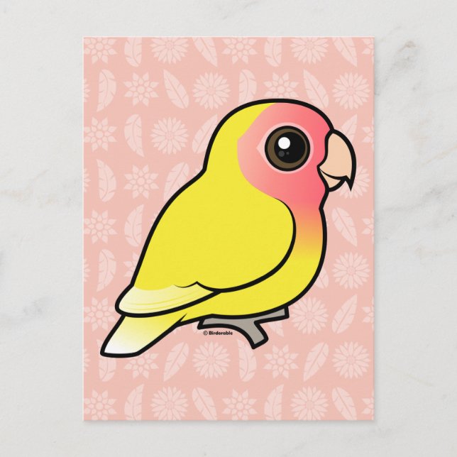 Lutino Peach-faced Lovebird Postcard (Front)