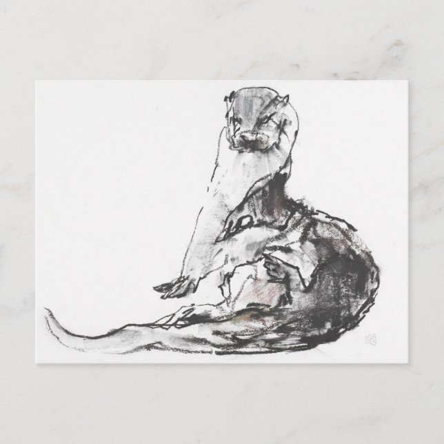 Lutra lutra postcard (Front)