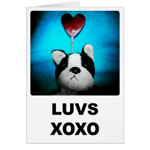 Luvs XOXO Card
