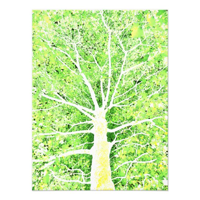 Lux Viridis Flavum 8 Photo Print (Front)