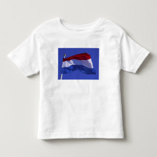 Luxembourg flag RF) Toddler T-Shirt