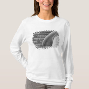 Luxembourg, Luxembourg City, Kirchberg Plateau. T-Shirt