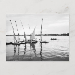 Luxor Egypt, Feluccas on the Nile Postcard