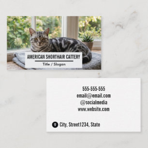 Luxurious American Shorthair Cattery Cutom Photo Business Card