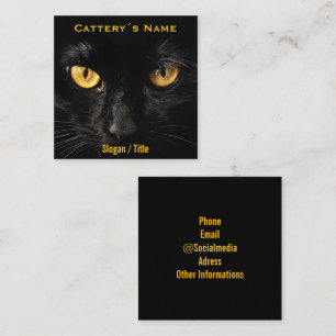 Luxurious Minimalist Black Cat Eyes Cattery Custom Square Business Card