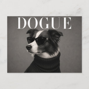 Luxury Border Collie Dog Portrait Postcard