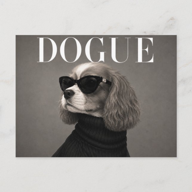 Luxury Cavalier King Charles Spaniel Postcard (Front)