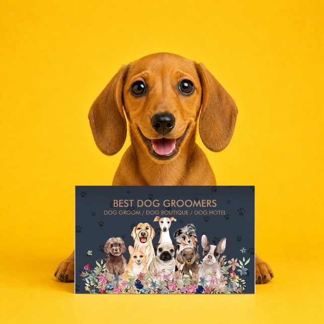 Luxury Dog Boarding Business Card (Creator Uploaded)