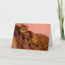 Luxury Elegant Cat Birthday 