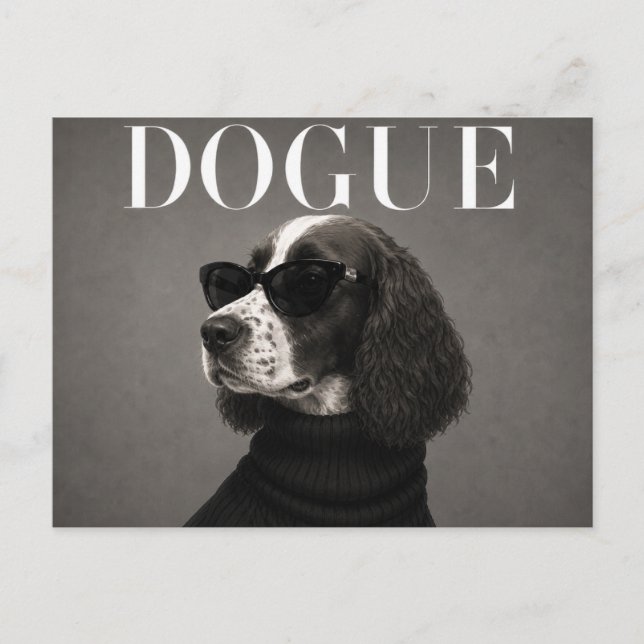 Luxury English Springer Spaniel Postcard (Front)