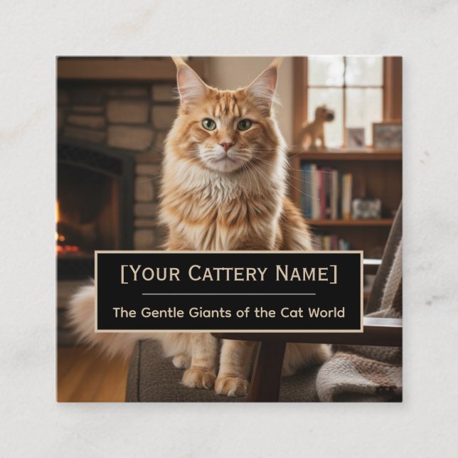 Luxury Maine Coon Cattery Photo Business Card (Front)