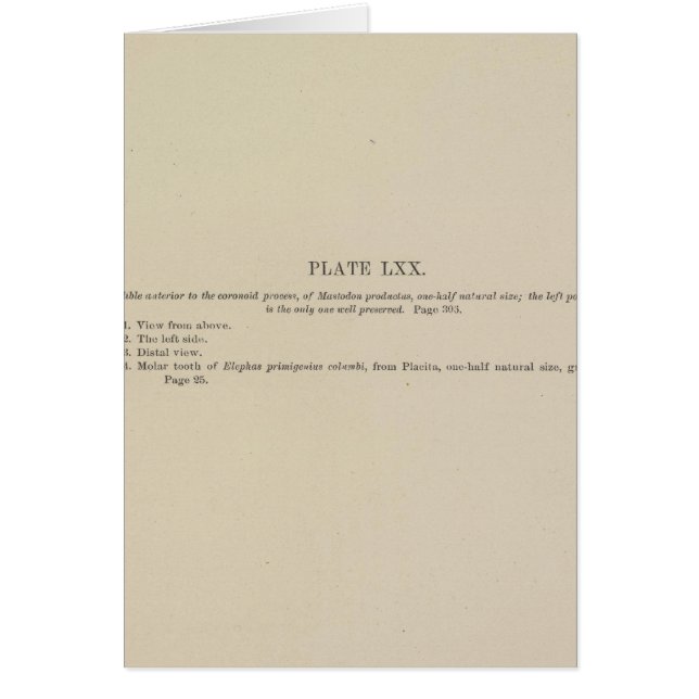 LXX explanation (Front)