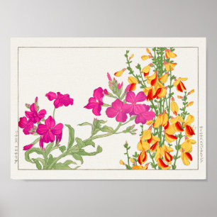 Lychnis coronaria, Cytisus by Tanigami Konan Poster