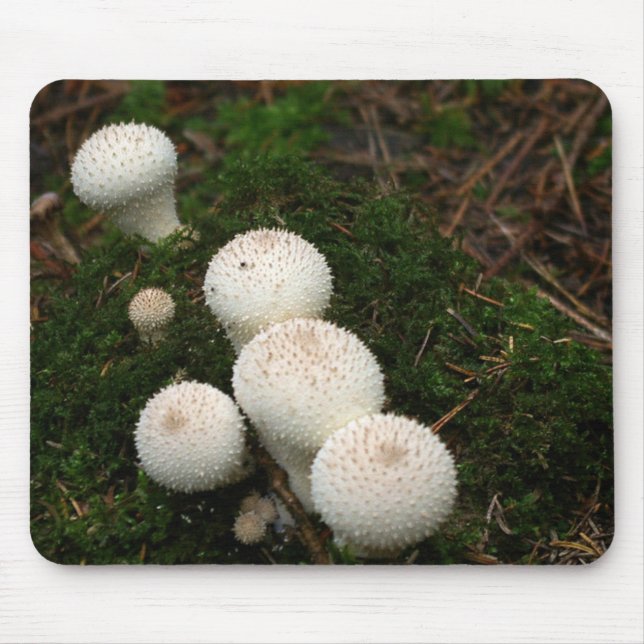 Lycoperdon puffball mushrooms mouse pad (Front)