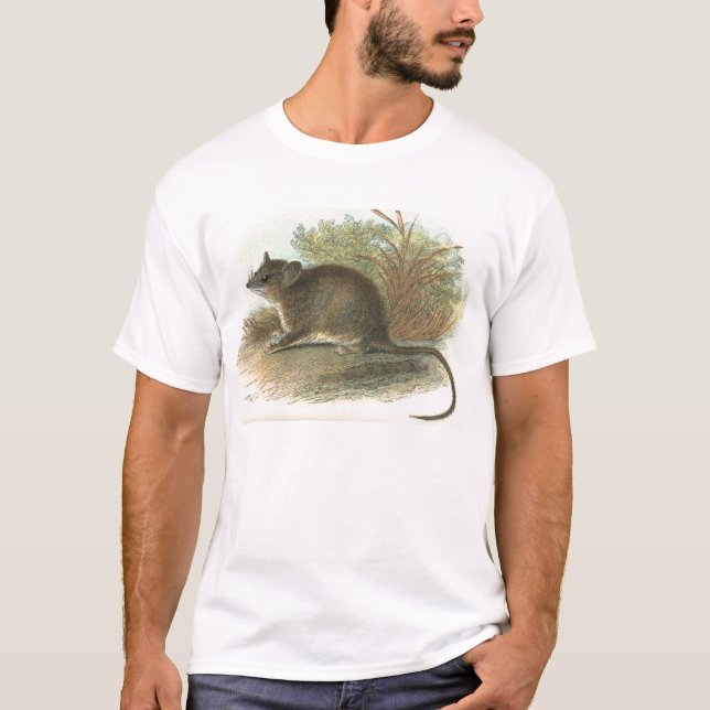 Lydekker - Common Dormouse Phalanger/Possum T-Shirt (Front)