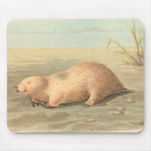Lydekker - Marsupial Mole Mouse Pad (Front)