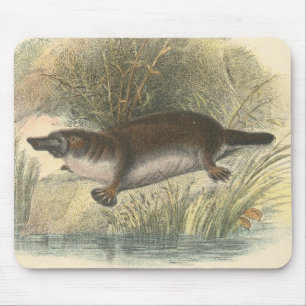Lydekker - Platypus Mouse Pad
