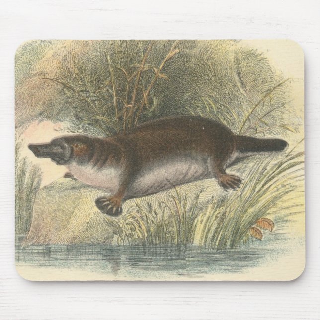 Lydekker - Platypus Mouse Pad (Front)