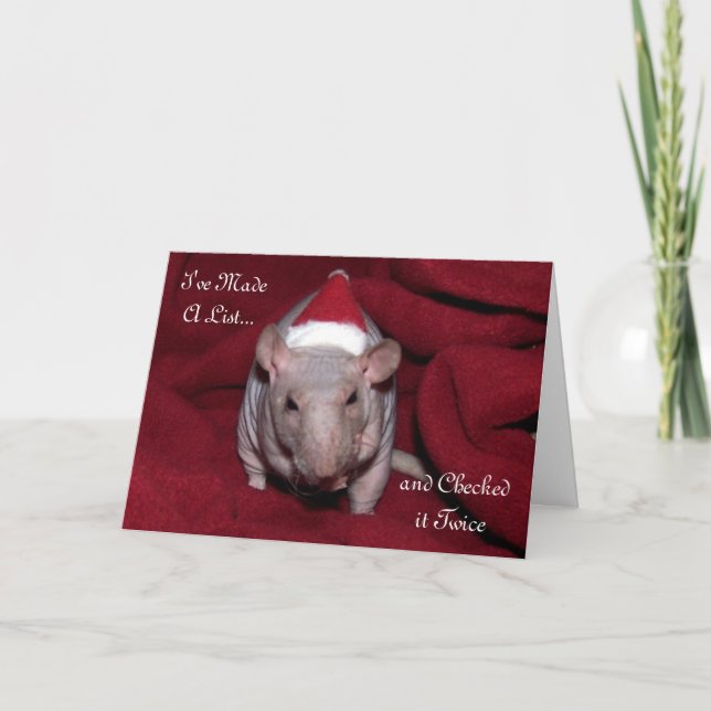 Lydia Christmas Card 1 (Front)