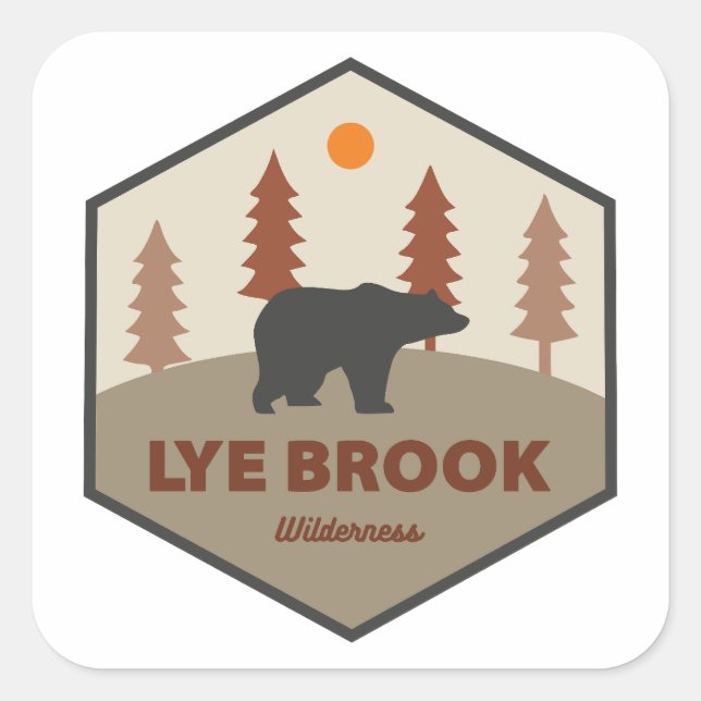 Lye Brook Wilderness Vermont Bear Square Sticker (Front)