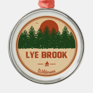 Lye Brook Wilderness Vermont Metal Ornament