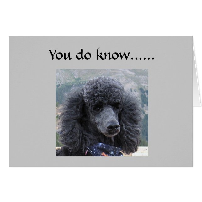 LYING IS UNACCEPTABLE=40th HUMOR (Front Horizontal)