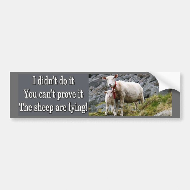 Lying Sheep Bumper Sticker (Front)
