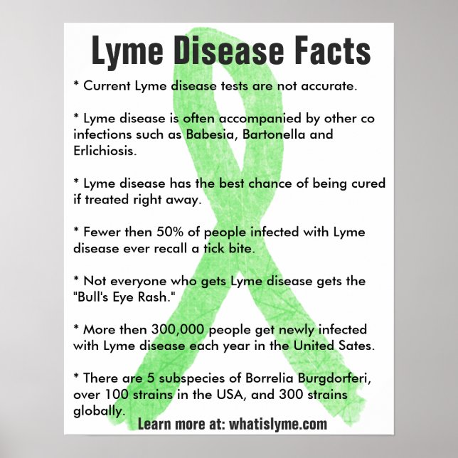 Lyme Disease Facts Educational Poster (Front)