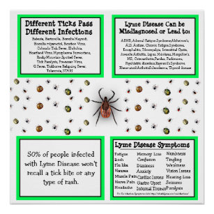 Lyme disease Information Poster
