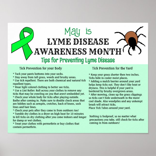 Lyme Disease Prevention Educational Poster (Front)