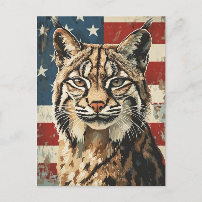 Lynx American flag vintage Postcard (Front)