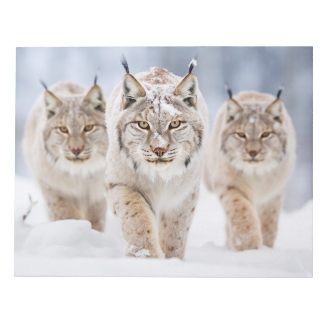 Lynx Animal Family Wandering Nature  Notepad (Front)