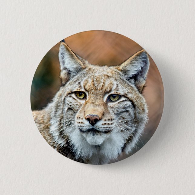 Lynx Bobcat Wildlife Predator Cat 6 Cm Round Badge (Front)