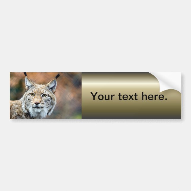 Lynx Bobcat Wildlife Predator Cat Bumper Sticker (Front)