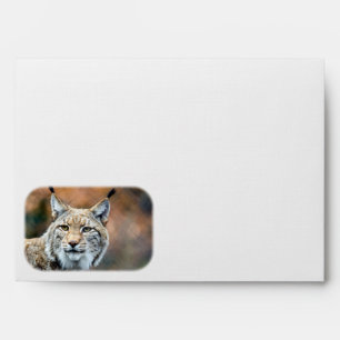 Lynx Bobcat Wildlife Predator Cat Envelope