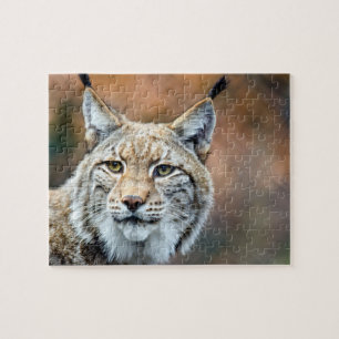 Lynx Bobcat Wildlife Predator Cat Jigsaw Puzzle