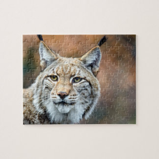 Lynx Bobcat Wildlife Predator Cat Jigsaw Puzzle