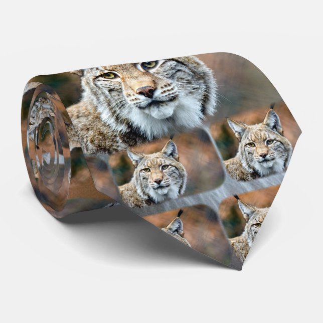 Lynx Bobcat Wildlife Predator Cat Tie (Rolled)