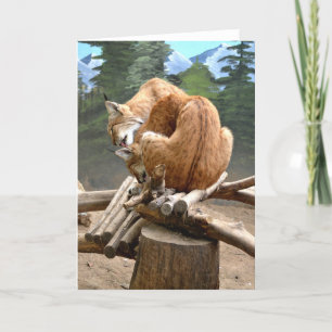 Lynx cats holiday card