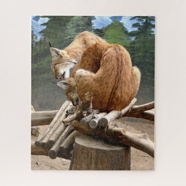 Lynx cats jigsaw puzzle (Vertical)