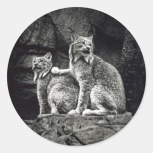 Lynx Classic Round Sticker