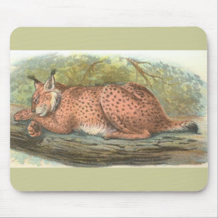 Lynx, Felis lynx Mouse Pad