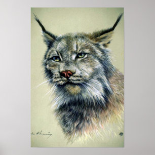 Lynx (head study) poster