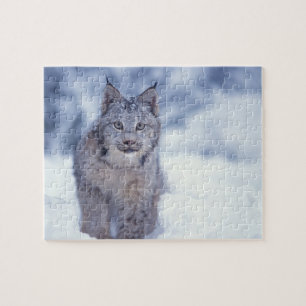 Lynx in the snow in the foothills jigsaw puzzle