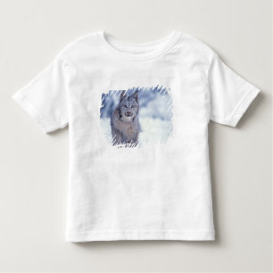 Lynx in the snow in the foothills toddler T-Shirt