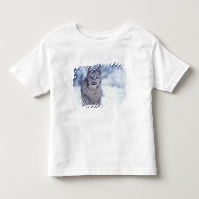 Lynx in the snow in the foothills toddler T-Shirt (Front)