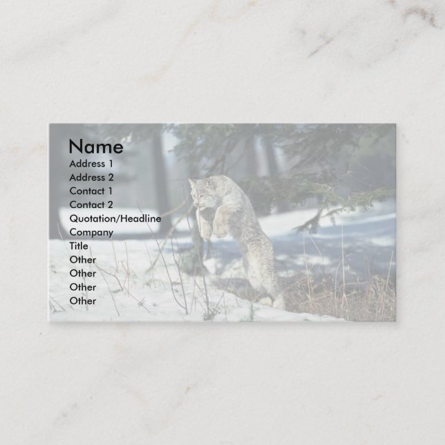 Lynx leaping, bounding on snow business card (Front)