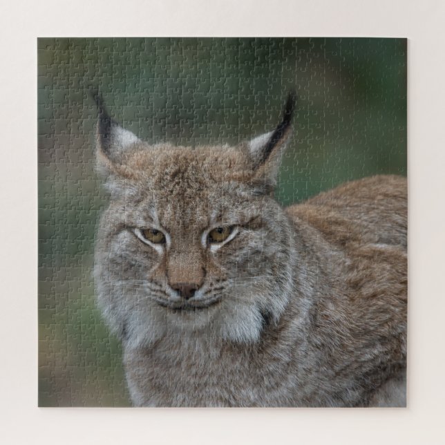 Lynx Looking At You Jigsaw Puzzle (Vertical)